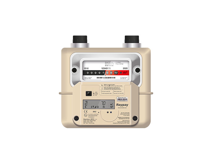 Raychem RPG’s Smart Prepaid Gas Meter